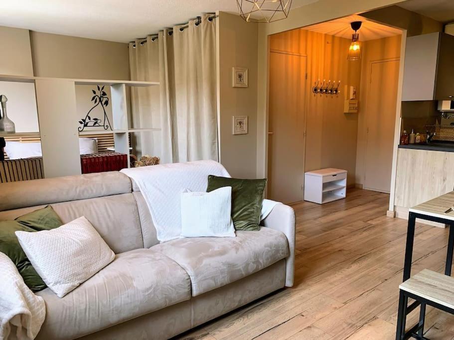Appartement Cosy Proche Centre ดรากิญญ็อง ภายนอก รูปภาพ
